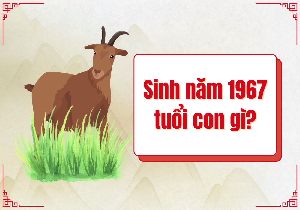 Sinh năm 1967 tuổi con gì