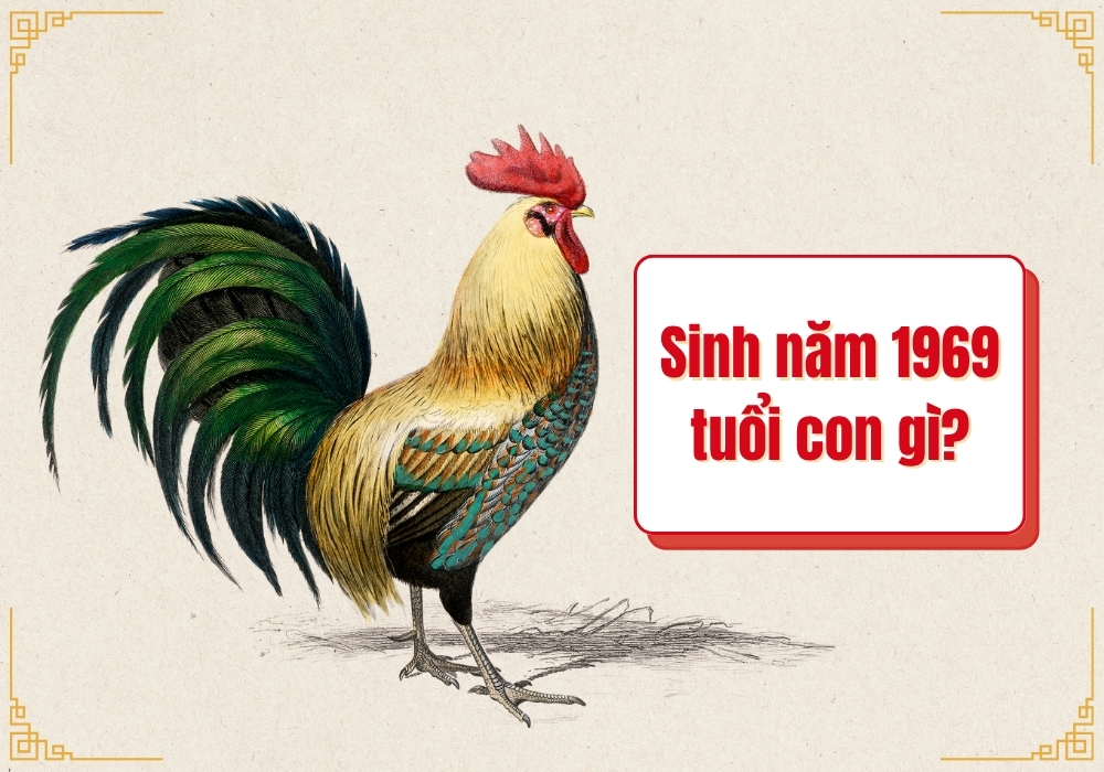 1969 tuổi con gì?