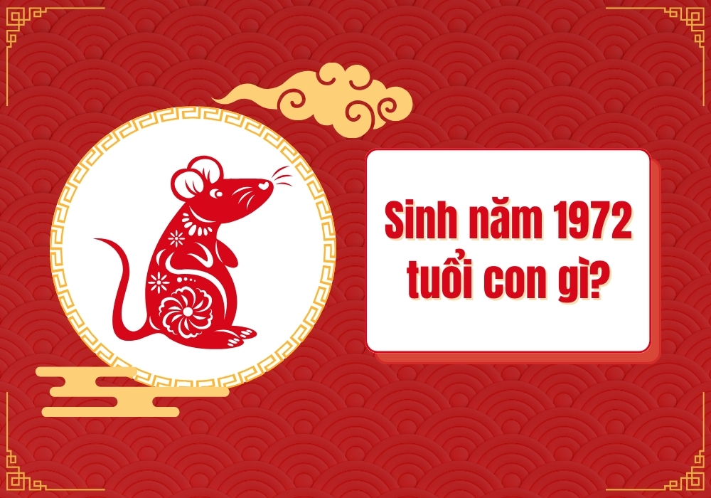 Người sinh năm 1972 mệnh gì tuổi con gì?