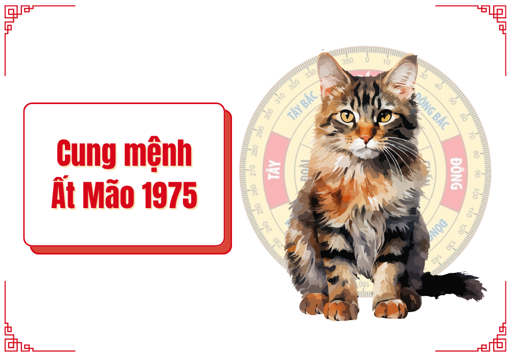 Nam nữ 1975 mệnh gì cung gì