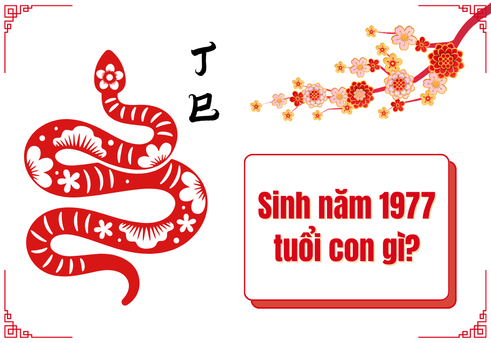 Nam nữ sinh năm 1977 tuổi con gì