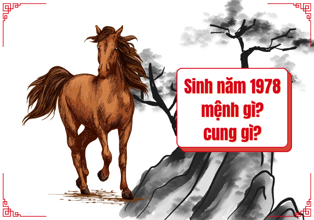 Người sinh năm 1978 mệnh gì cung gì