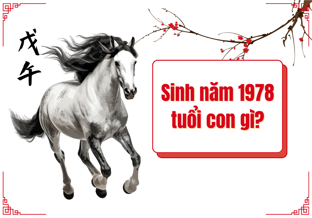 Sinh năm 1978 cung gì tuổi con gì