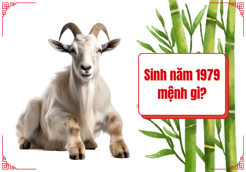 1979 mệnh gì? Nam nữ tuổi 1979 hợp màu gì hợp tuổi nào? 2 Sinh năm 1979 mệnh gì?