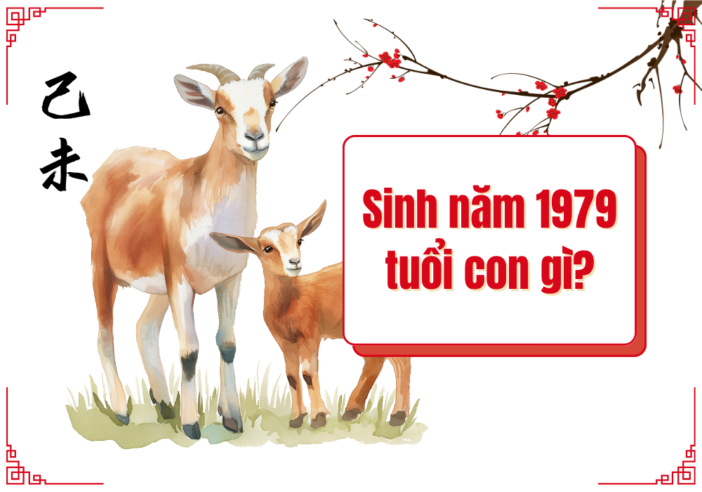 1979 mệnh gì? Nam nữ tuổi 1979 hợp màu gì hợp tuổi nào? 3 Sinh năm 1979 tuổi con gì?