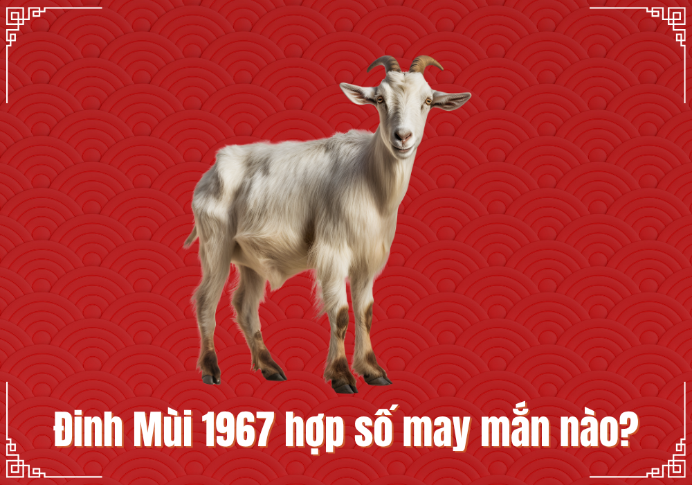 Để chọn số may mắn cần biết tuổi Đinh Mùi 1967 mệnh gì nam và nữ