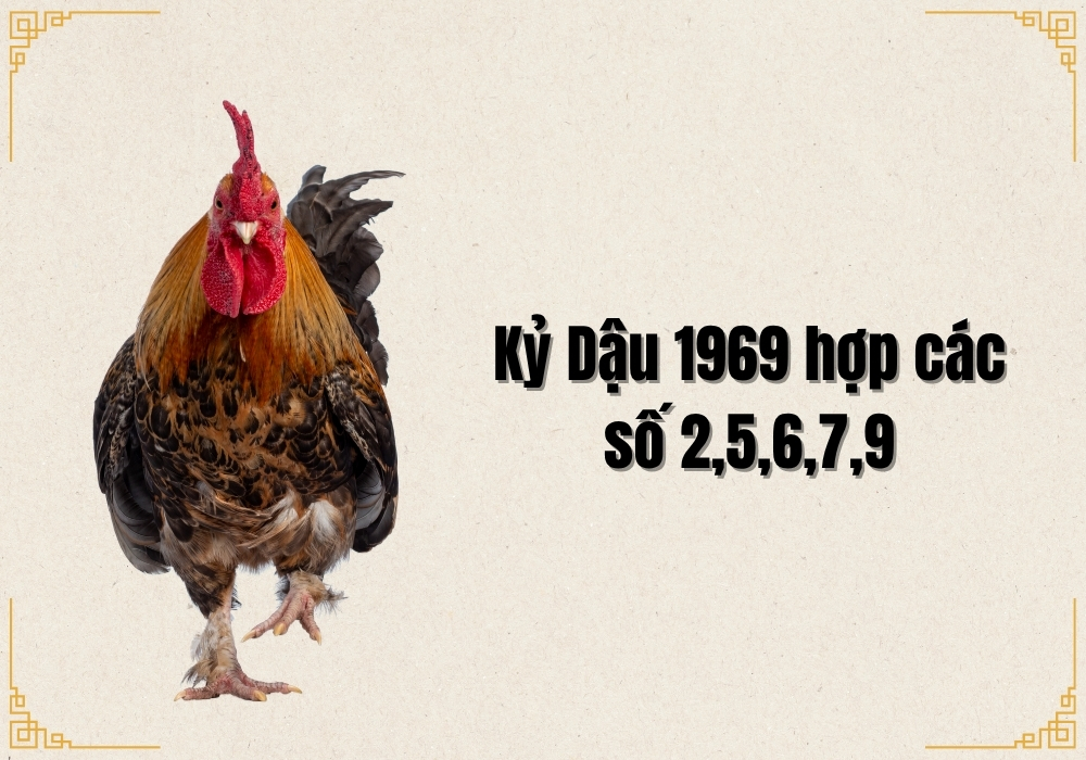 Số may mắn hợp mệnh Thổ Kỷ Dậu