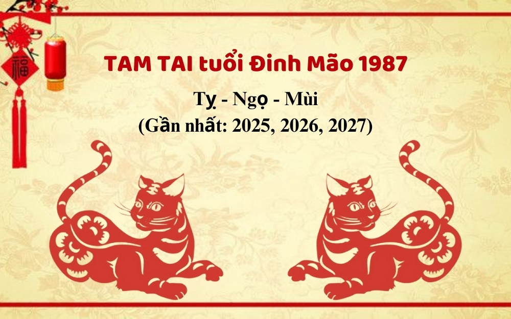 Người sinh năm 1987 là mệnh gì gặp tam tai năm nào?