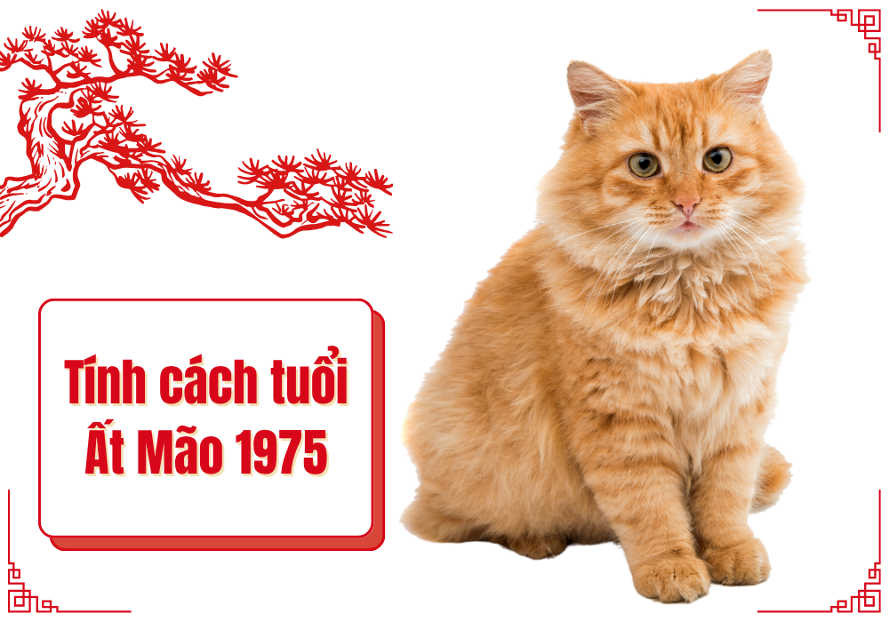 Tính cách của người tuổi Mão
