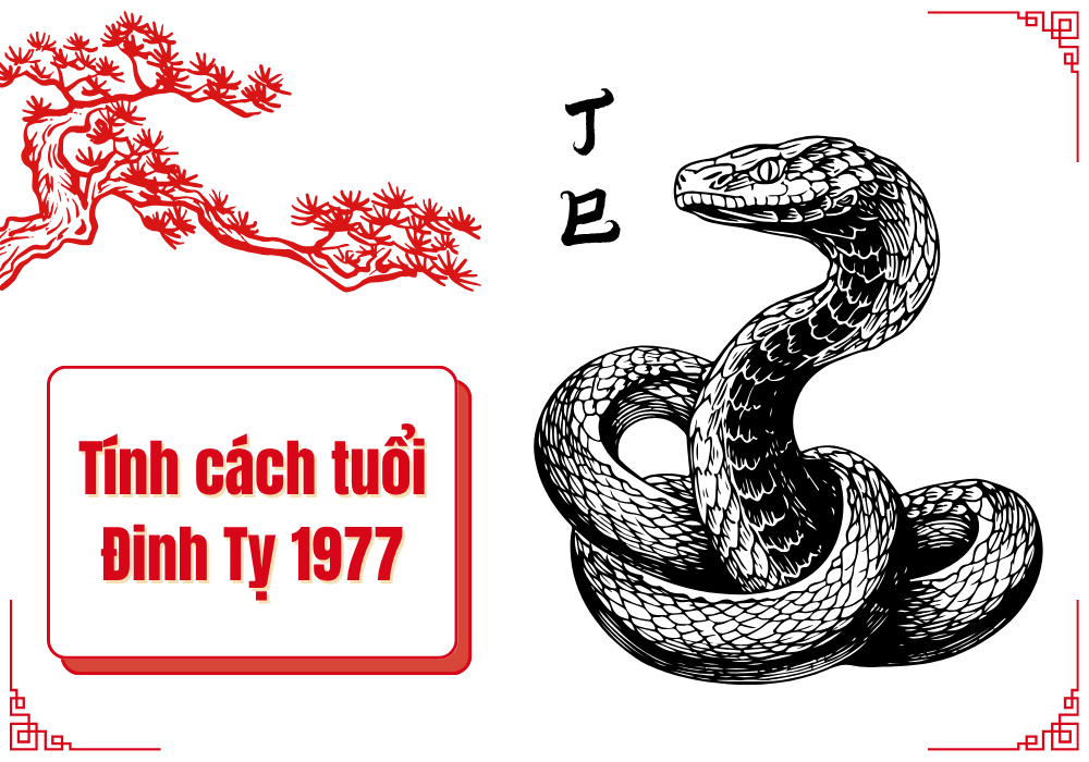 Tính cách nam nữ tuổi Đinh Tỵ