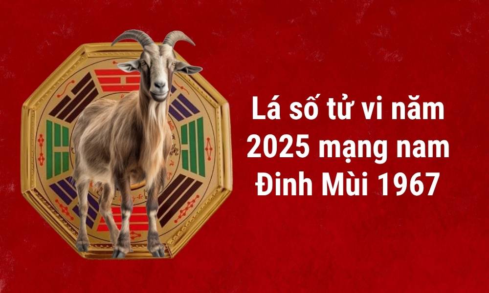 Sinh năm 1967 lấy vợ tuổi gì hợp? Nam 1967 hợp nữ tuổi nào? 6 Tử vi 2025 nam Đinh Mùi 1967