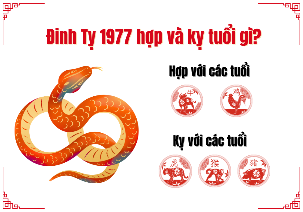 Tuổi hợp và kỵ với Đinh Tỵ 1977