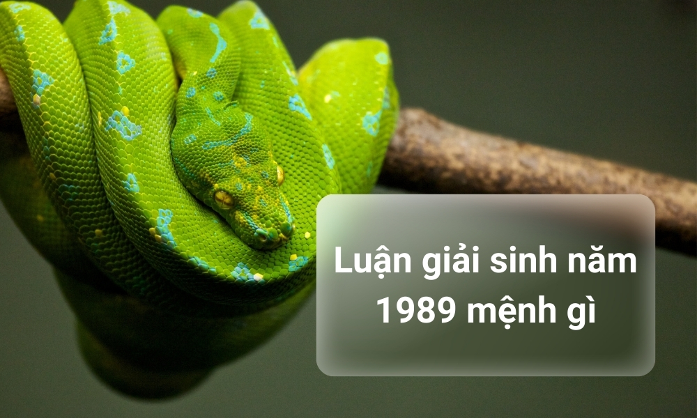 Sinh năm 1989 lấy vợ tuổi nào hợp? Kỷ Tỵ 1989 lấy vợ năm nào tốt? 2 Giải đáp nam 1989 mệnh gì