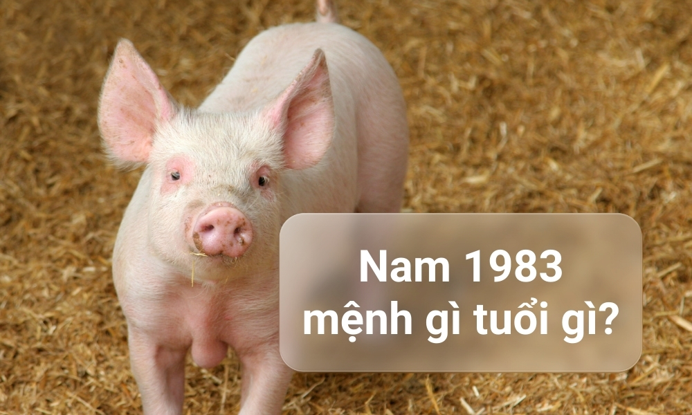 Nam tuổi 1983 lấy vợ tuổi nào hợp để hôn nhân viên mãn? 2 Cần biết mệnh và cung để luận giải tuổi 1983 lấy vợ tuổi nào hợp