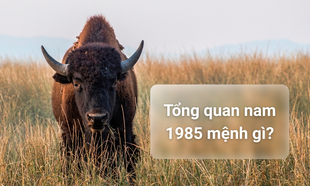 Sinh năm 1985 lấy vợ tuổi nào thì hợp để giàu sang phú quý? 2 Cần biết mệnh và cung để giải đáp sinh năm 1985 lấy vợ tuổi nào thì hợp