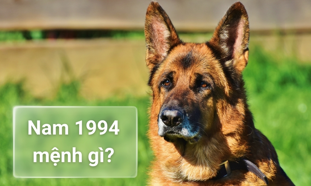 Năm 1994 lấy vợ tuổi nào thì hợp để hôn nhân viên mãn? 2 Biết nam 1994 mệnh gì giúp giải đáp năm 1994 lấy vợ tuổi nào thì hợp