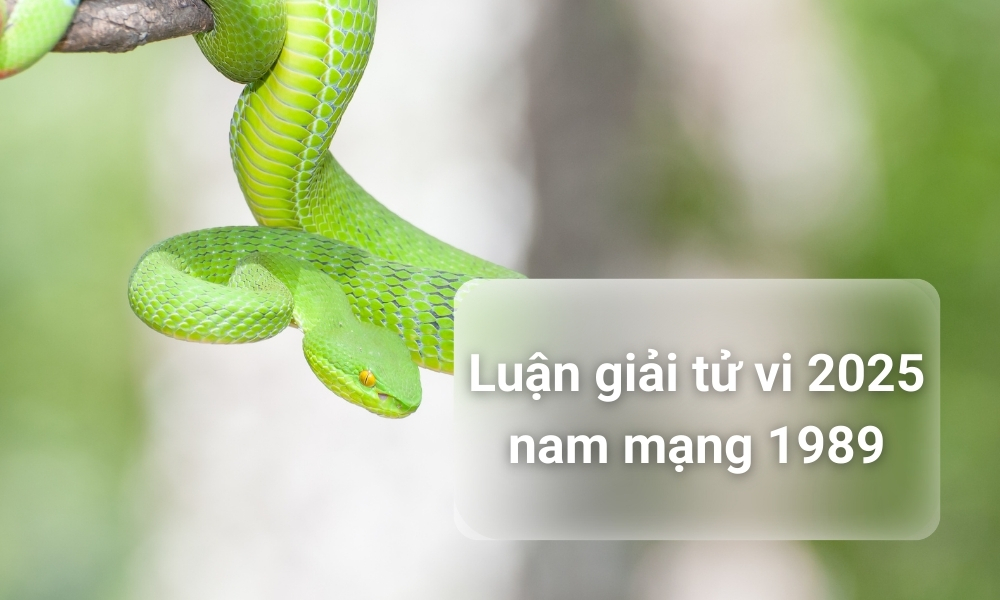 Sinh năm 1989 lấy vợ tuổi nào hợp? Kỷ Tỵ 1989 lấy vợ năm nào tốt? 13 Tử vi tuổi Kỷ Tỵ 1989 nam mạng 2025