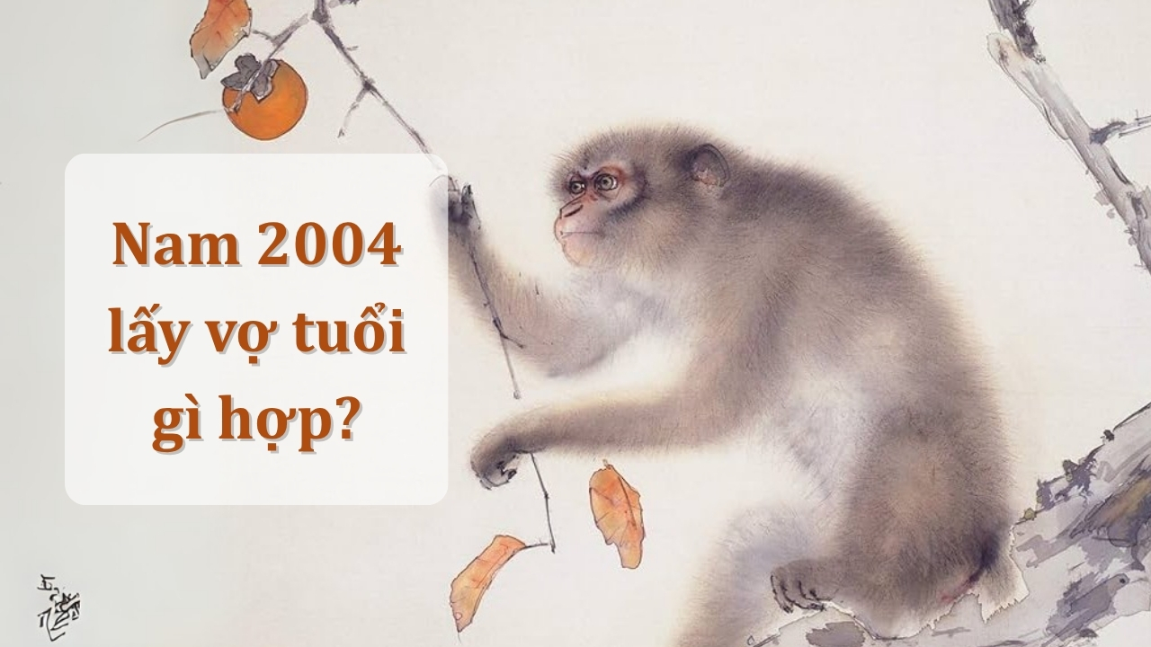 Nam 2004 lấy vợ tuổi gì hợp