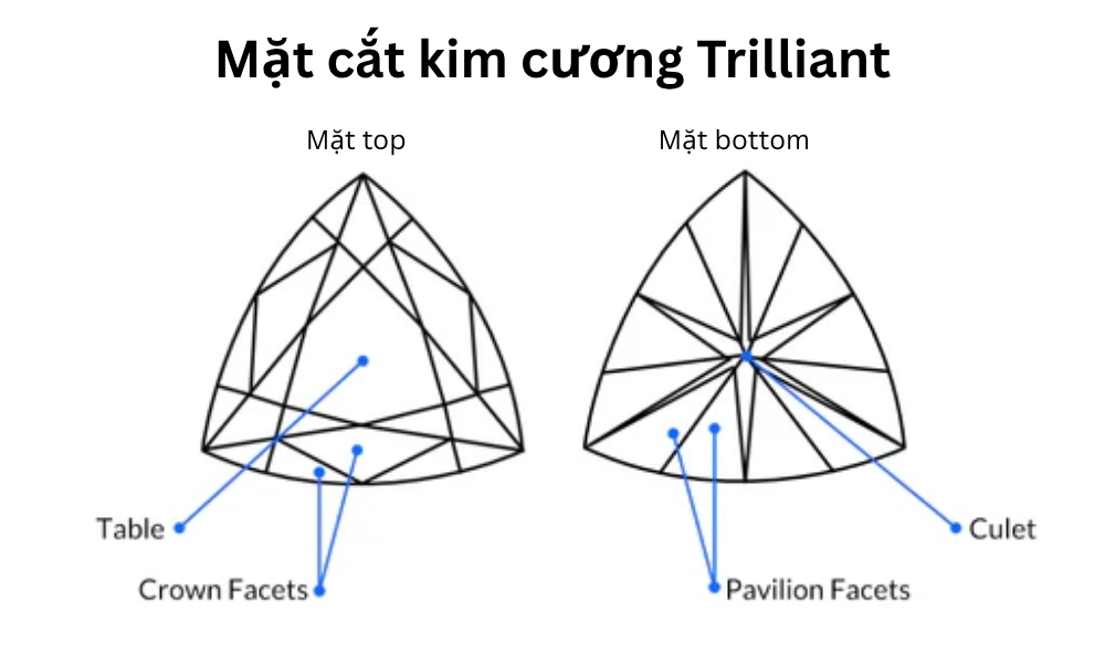 Giác cắt kim cương Trilliant có đặc điểm gì nổi bật? 4 Đặc điểm nổi bật của giác cắt kim cương Trilliant