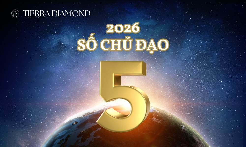 THẦN SỐ HỌC 2026: NĂM THẾ GIỚI SỐ 1 ĐỘC LẬP, TÁI SINH 11 Năm số 1 (2026) là cơ hội để số chủ đạo 5 khám phá điều mới