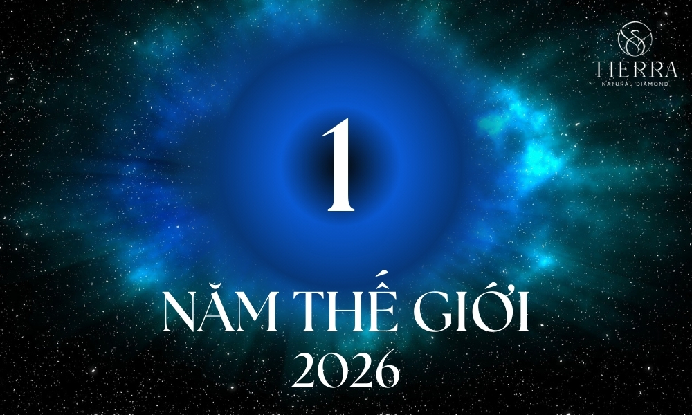 THẦN SỐ HỌC 2026: NĂM THẾ GIỚI SỐ 1 ĐỘC LẬP, TÁI SINH 3 Năm thế giới số 1 mang năng lượng tái sinh