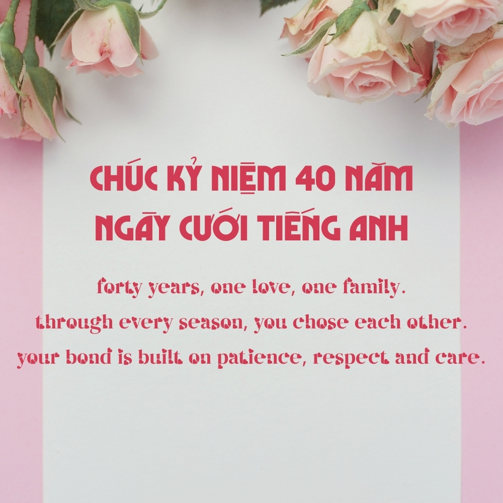 Kỷ niệm 40 năm ngày cưới thế nào để ý nghĩa và đáng nhớ? 15 Lời chúc kỷ niệm 40 ngày cưới bằng tiếng Anh