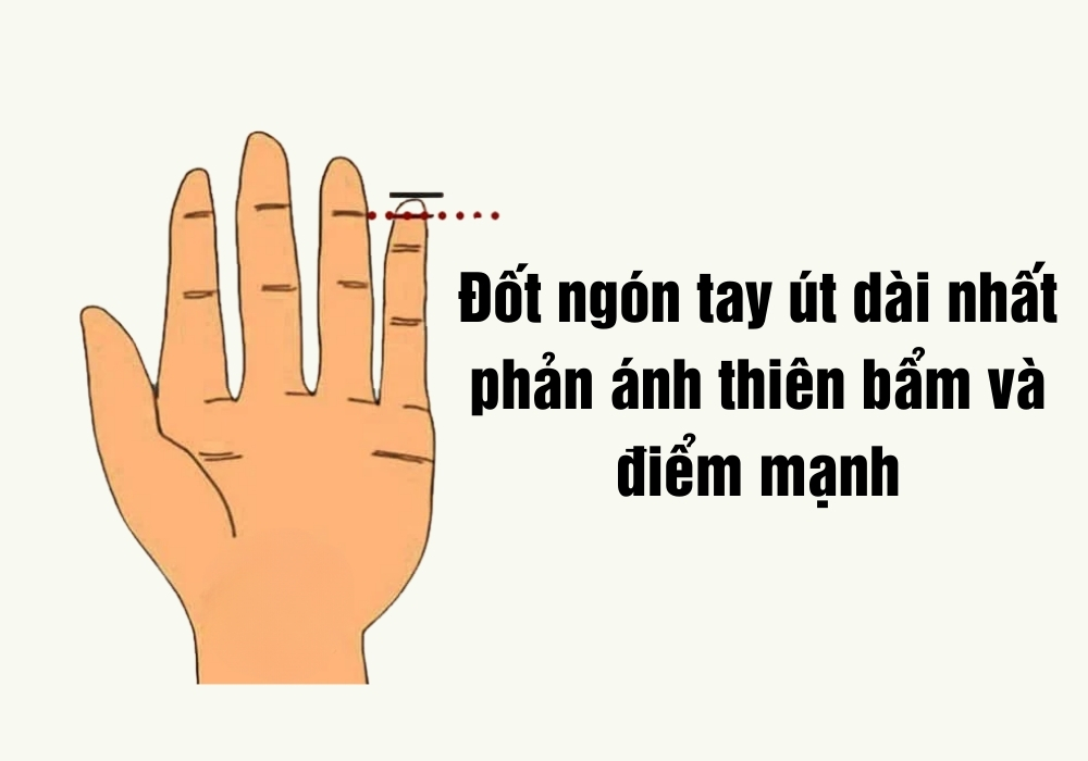 Ngón út ngắn giàu hay nghèo? Luận giải độ dài ngón tay út 5 Đốt dài nhất của ngón út thường cho biết điểm mạnh