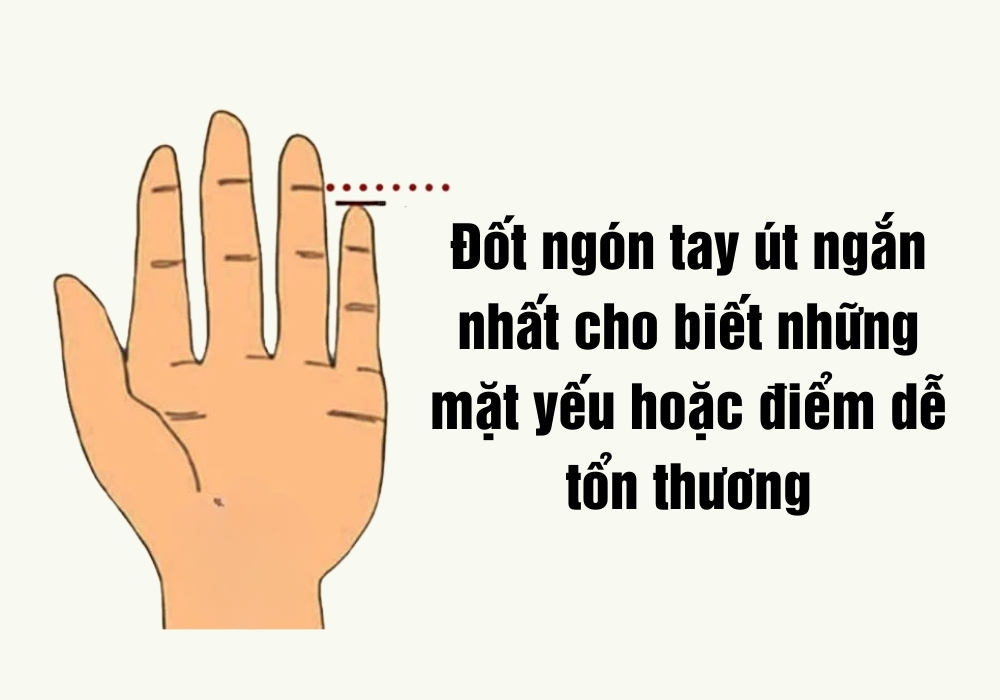 Ngón út ngắn giàu hay nghèo? Luận giải độ dài ngón tay út 6 Đốt ngắn nhất của ngón út thường cho biết điểm yếu
