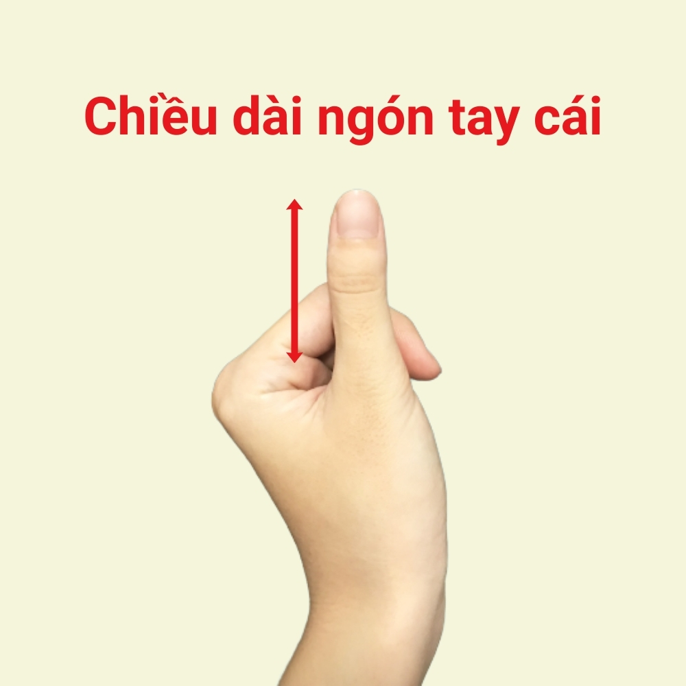 NGÓN TAY NGẮN MẬP BIỂU HIỆN TÍNH CÁCH THỰC TẾ VÀ ƯA SỰ ỔN ĐỊNH