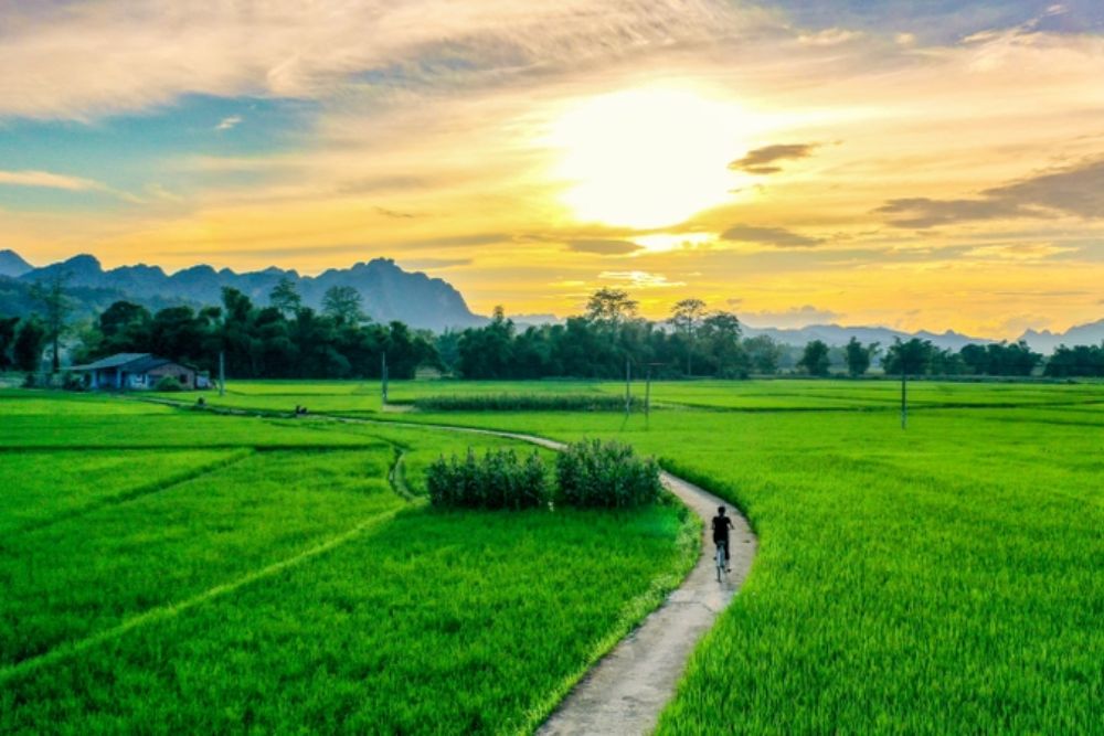 Năm cá nhân số 7 và bài học về sự buông bỏ, chiêm nghiệm 7 Ưu tiên sự bình yên thay vì náo nhiệt là thay đổi đặc trưng của năm này.