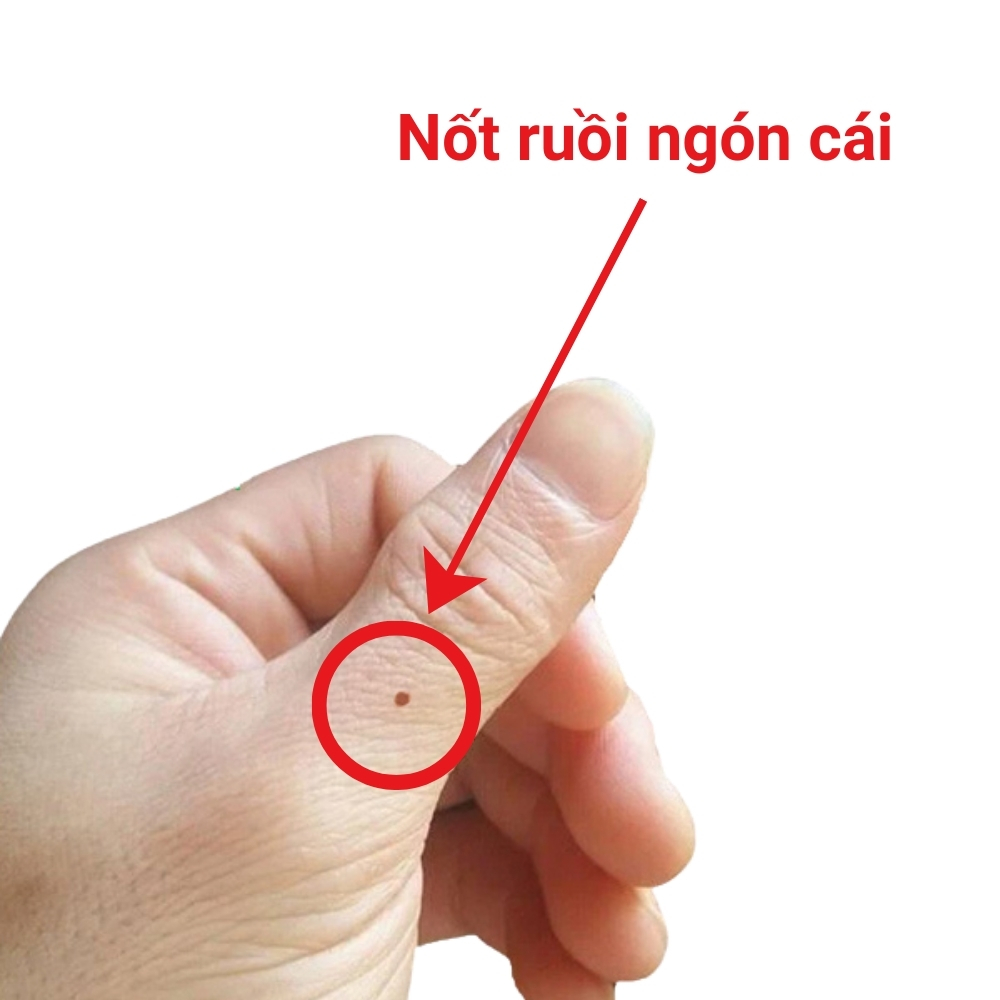 BÀN TAY MẬP VÀ NGẮN THƯỜNG LIÊN QUAN ĐẾN VẬN MỆNH AN NHÀN VÀ BỀN BỈ