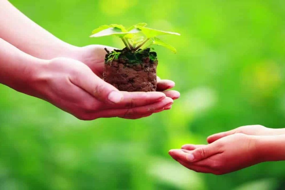 Sao Thái Âm là gì? Tốt hay xấu và cách giải hạn chuẩn nhất 6 Làm việc thiện và quản lý tài chính tốt giúp hóa giải vận xấu khi gặp Sao Thái Âm.
