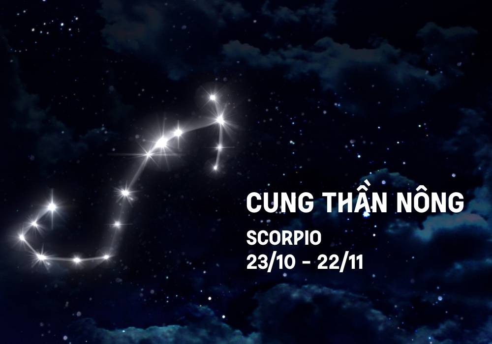 Thần Nông là cung gì, sinh tháng mấy? Giải mã cung Bọ Cạp 3 Ưu điểm trong tính cách của cung Thần Nông