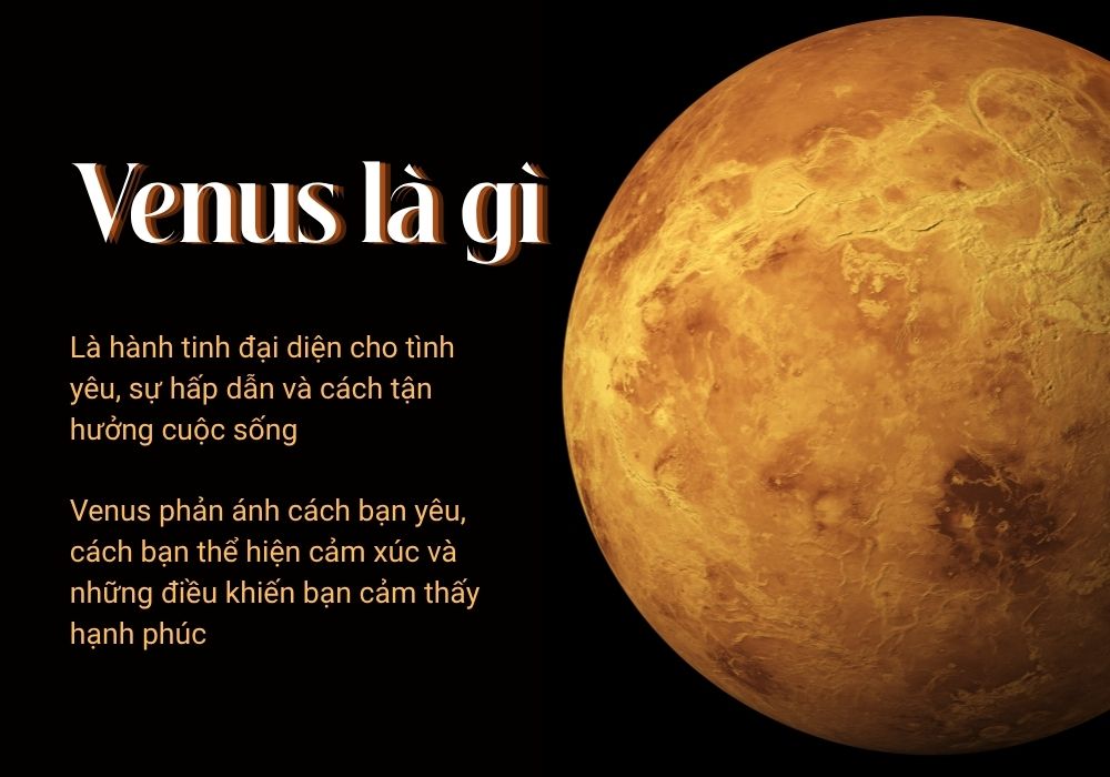Venus là gì? Cách xác định Venus trong bản đồ sao cá nhân 2 Cung Venus là gì