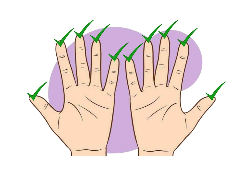 Hoa tay là gì? Giải mã ý nghĩa số hoa tay từ 0-10, cách xác định hoa tay 6 10 hoa tay có ý nghĩa gì?