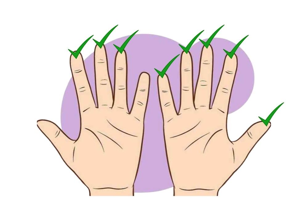 Hoa tay là gì? Giải mã ý nghĩa số hoa tay từ 0-10, cách xác định hoa tay 5 Có 8 hoa tay có ý nghĩa gì?