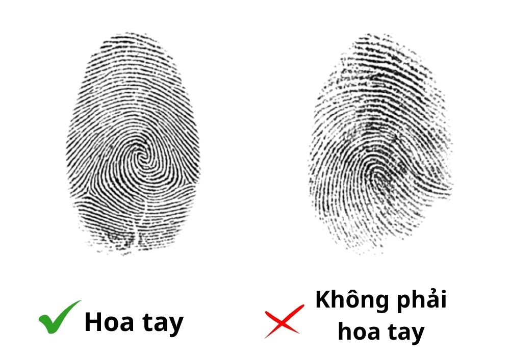 Hoa tay là gì? Giải mã ý nghĩa số hoa tay từ 0-10, cách xác định hoa tay 2 Định nghĩa hoa tay là gì? Cách nhìn hoa tay