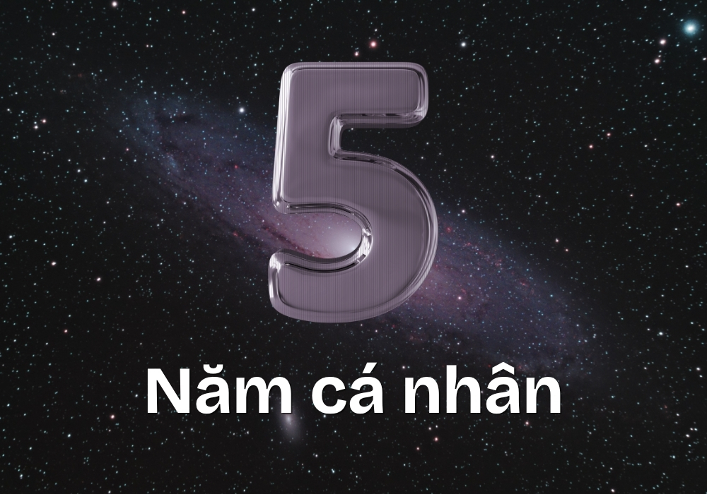 Năm cá nhân số 5 trong năm 2026: Thay Đổi và Tự do 6 Những điều nên tránh trong năm cá nhân số 5