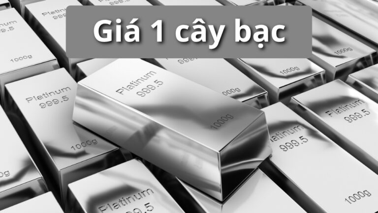 1 cây bạc giá bao nhiêu? Giá bạc 1 cây 925, 999, 950, Phú Quý, Ancarat, BTMC