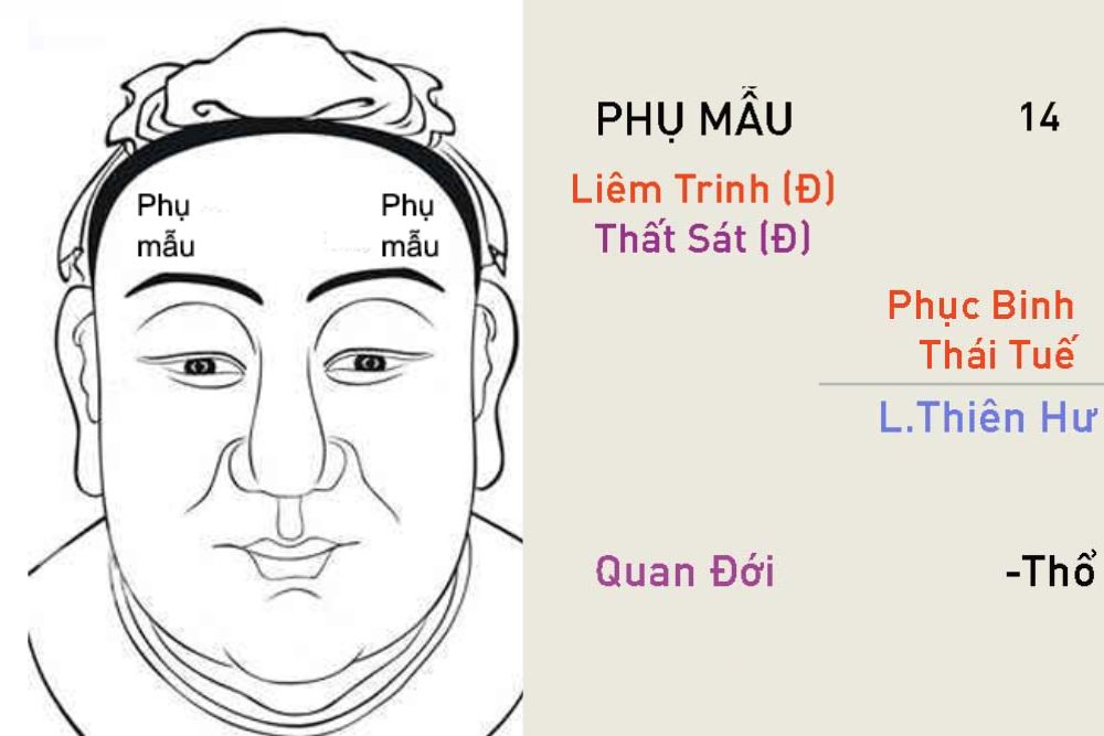 Luận giải cung Phụ Mẫu: Đoán vận gia đình và hậu thuẫn từ cha mẹ 2 Cung Phụ Mẫu là cung trong tử vi phản ánh cha mẹ, nền tảng gia đình và mức độ hậu thuẫn mà đương số nhận được trong cuộc sống.