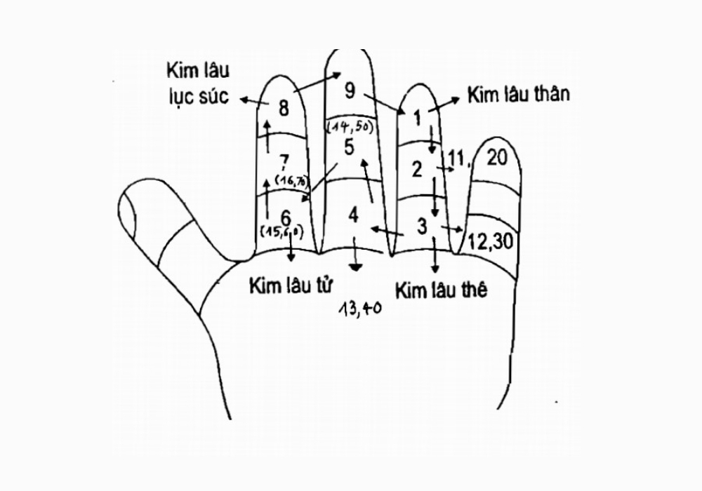 Kim lâu súc là gì? Cách tính tuổi, hóa giải kim lâu súc 2026 2 Kim lâu súc là gì?