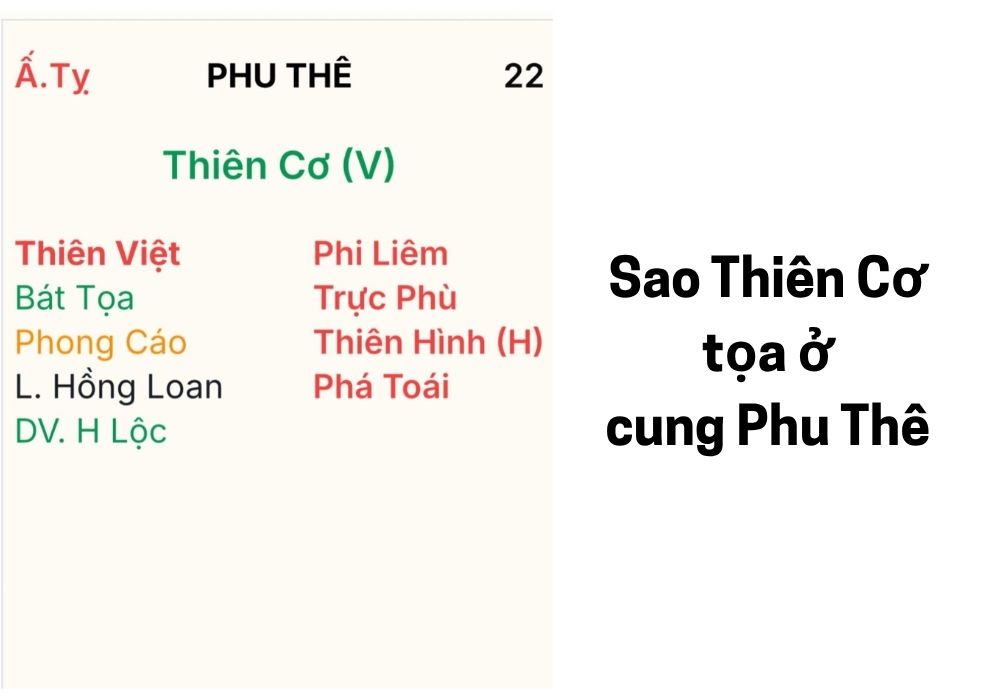 Sao Thiên Cơ cung Phu Thê: Hôn nhân trắc trở, phải lo toan 2 Sao Thiên Cơ cung Phu Thê cho biết những gì