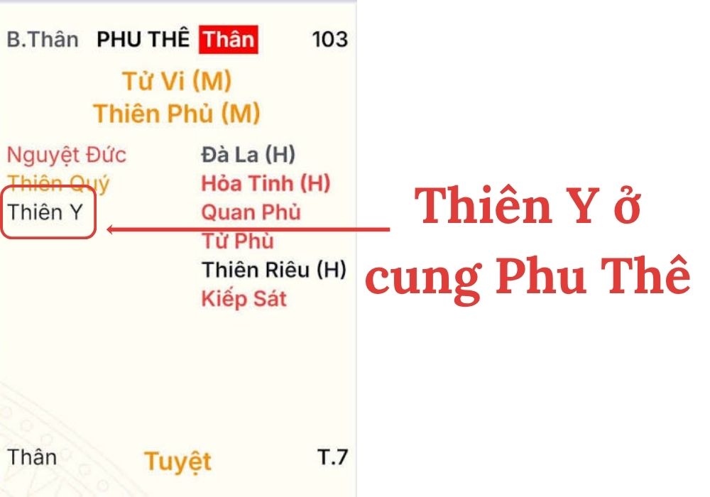 Sao Thiên Y cung Phu Thê: Bạn đời ân cần, tinh tế, chăm lo 2 Sao Thiên Y cung Phu Thê cho thấy người bạn đời là người sống tình cảm