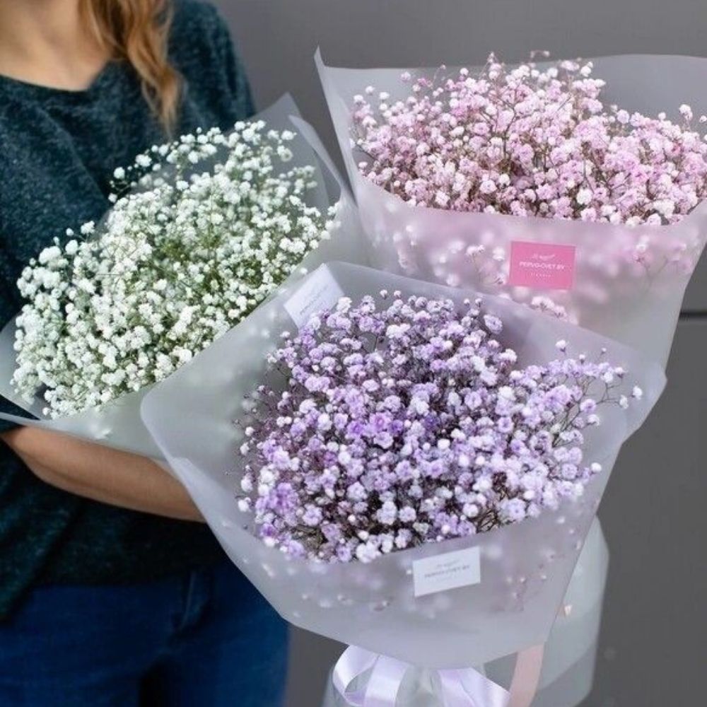 Hoa nhí là gì? Ý nghĩa và top những mẫu hoa nhí đẹp nhất 25 Top các mẫu hoa nhí đẹp nhất
