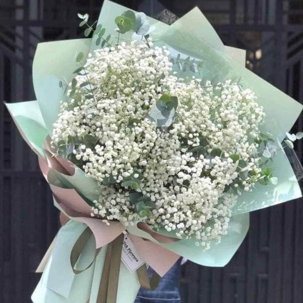 Hoa nhí là gì? Ý nghĩa và top những mẫu hoa nhí đẹp nhất 14 Top các mẫu hoa nhí đẹp nhất