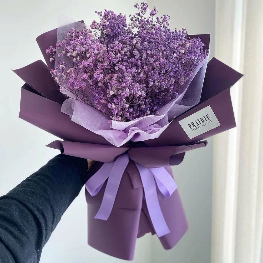 Hoa nhí là gì? Ý nghĩa và top những mẫu hoa nhí đẹp nhất 23 Top các mẫu hoa nhí đẹp nhất