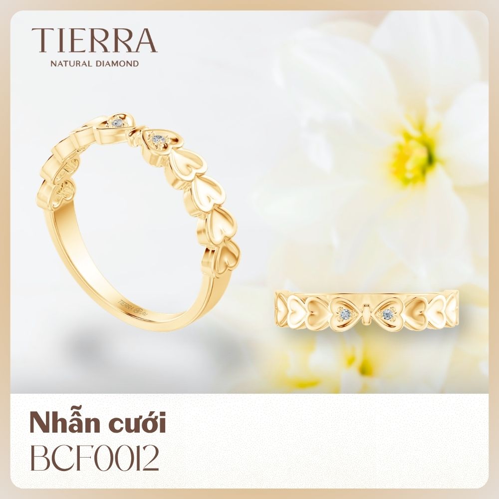 Có nên đeo nhẫn cưới vào cổ không? Mang ý nghĩa thế nào? 12 Nhẫn cưới BCF0012