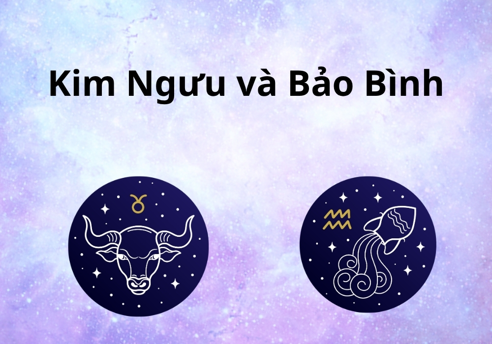 Bảo Bình hợp với cung nào (20/1-18/2), tính cách khi yêu 9 Kim Ngưu với Bảo Bình có hợp nhau không?