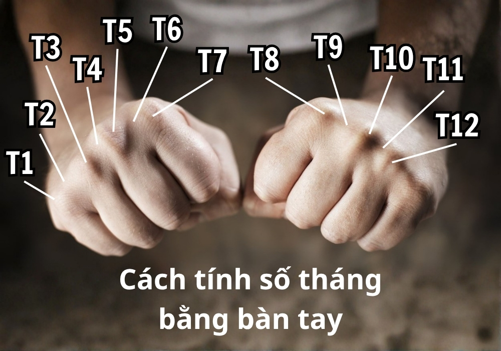 Tổng hợp những tháng có 31 ngày, 30 ngày trong năm 2026 và cách tính số ngày trong tháng 3 Cách tính số ngày của các tháng trong năm