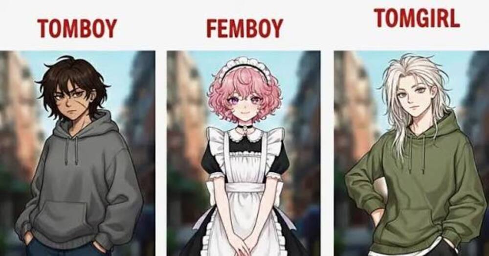 Tomgirl là gì? Sự khác biệt giữa Tomboy và Tomgirl là gì? 5 Tomgirl là gì? Sự khác biệt giữa Tomboy và Tomgirl là gì?